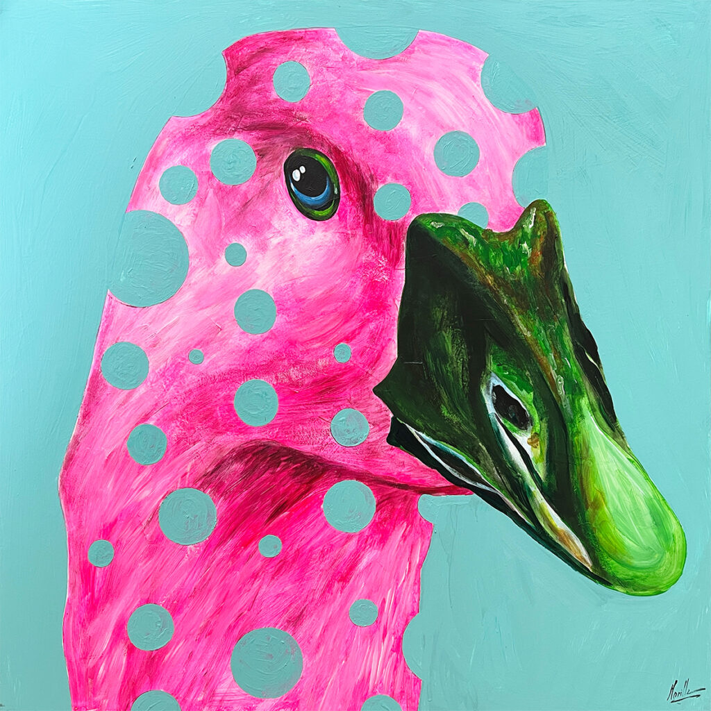 OBRA DUCK
