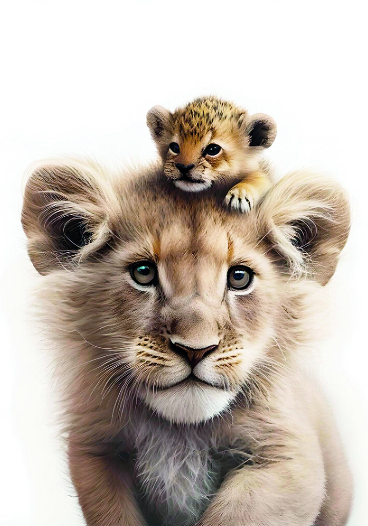 ANIMAL FAMILY 2
