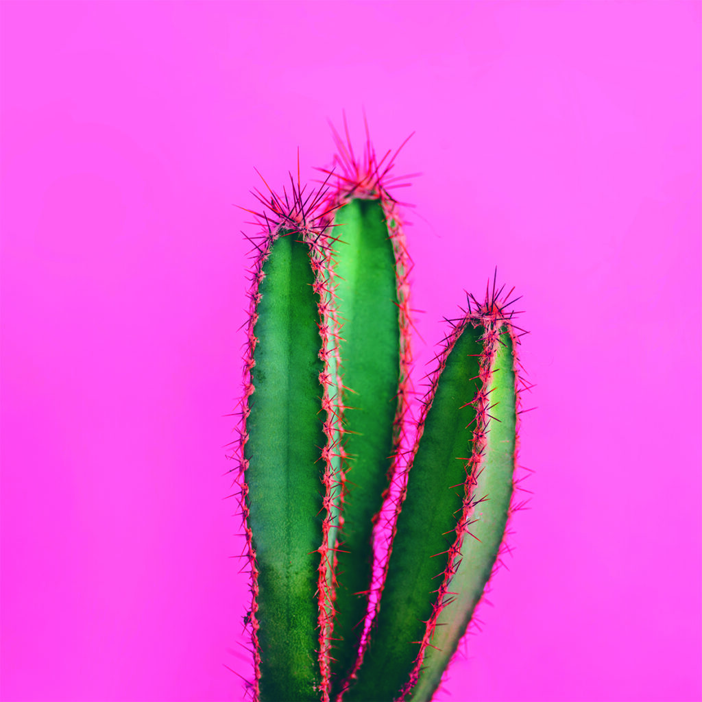 VIBRANT 5