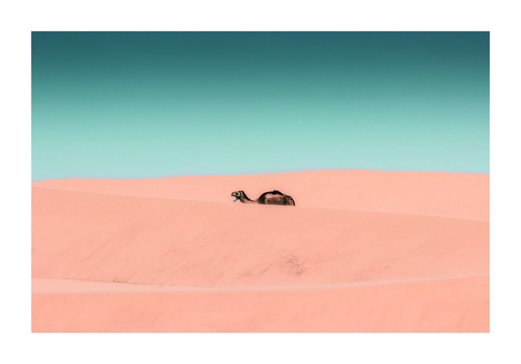 DESERT 4