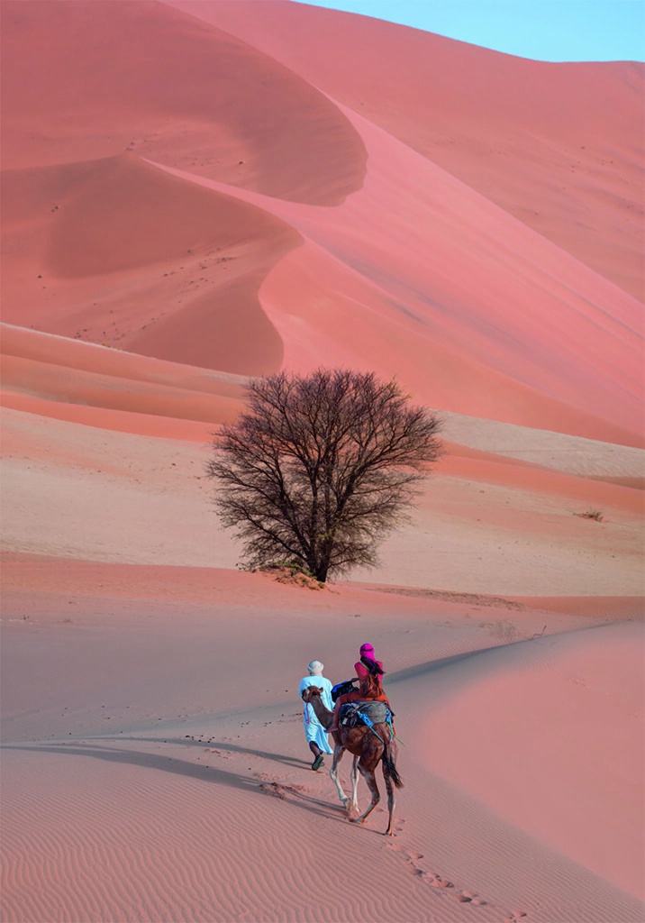 DESERT 5