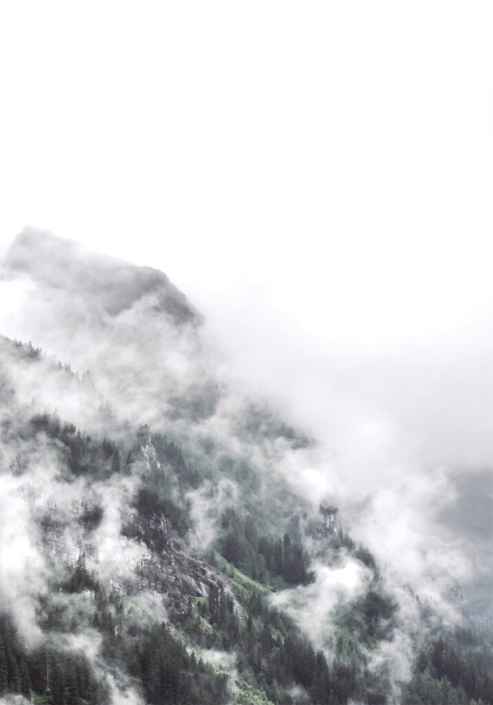 ROCAS NIEBLA