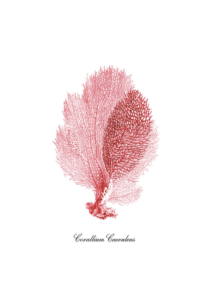 CORAL 9