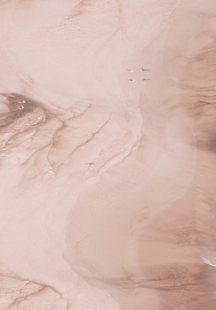 BAHIA 1
